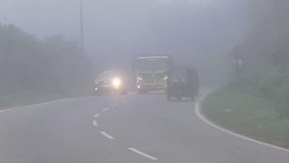 ಬೆಟ್ಟಗುಡ್ಡ, ರಸ್ತೆಗಳಲ್ಲಿ ಮಂಜಿನ ಮೆರವಣಿಗೆ: ಮಳೆಗಾಲಕ್ಕೂ ಮುನ್ನವೇ ಮಡಿಕೇರಿ ಕೂಲ್ ಕೂಲ್!