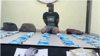 കുവൈത്തില് വന് ലഹരിമരുന്ന് വേട്ട; കടല് മാര്ഗം കടത്തിയ 100 കിലോ ഹാഷിഷ് പിടികൂടി