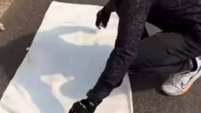 തെരുവിൽ ജീവനറ്റു കിടന്ന പൂച്ചയ്ക്ക് 'ശവസംസ്കാരം' നടത്തി യുവാവ്, ഹൃദയസ്പർശിയായ വീഡിയോ