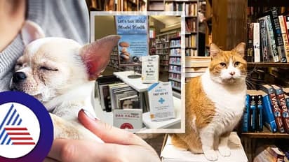 ಪುಸ್ತಕ ಹರಿದ್ರೆ ಹಣವಲ್ಲ, ಸಾಕುಪ್ರಾಣಿ ಫೋಟೊ ನೀಡಿ..ಲೈಬ್ರರಿಯ ವಿಚಿತ್ರ ಷರತ್ತಿದು!