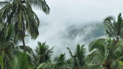 ಮಂಜು ಮುಸುಕಿದ ಮಂಜಿನ ನಗರಿ ಮಡಿಕೇರಿ; ಕೂರ್ಗ್‌ ಪ್ರವಾಸಕ್ಕಿದು ಸುಸಮಯ