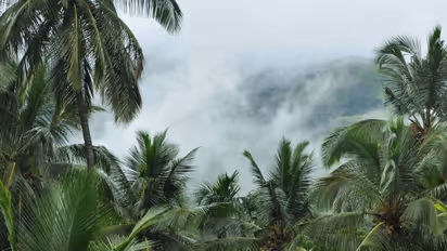 Craving for a monsoon ride? 'Scotland of India' Kodagu is calling you; see 8 captivating photos