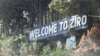 जीरो वैली की वादियां देखकर, भूल जाएंगे नैनीताल और कश्मीर