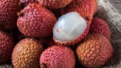 ലിച്ചിപ്പഴത്തെ നിസാരമായി കാണരുത് ; ആരോ​ഗ്യ​ഗുണങ്ങൾ ചെറുതൊന്നുമല്ല 