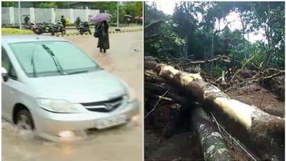 മീനച്ചിലാർ പ്രദേശത്ത് ജാഗ്രത, വാഗമൺ റോഡിൽ രാത്രിയാത്ര നിരോധിച്ചു; കോട്ടയത്ത് വിനോദ സഞ്ചാരമേഖലകളിൽ പ്രവേശനമില്ല