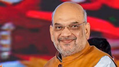 Lok Sabha Elections 2024 Results: HM Amit Shah secures Gandhinagar seat as BJP set to sweep Gujarat again