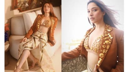 ஐட்டம் சாங்குக்கு கூட கமிட்டாகாத தமன்னா; தமிழ்ல மார்க்கெட் போச்சா? இப்போ என்ன செய்றாரு தெரியுமா?