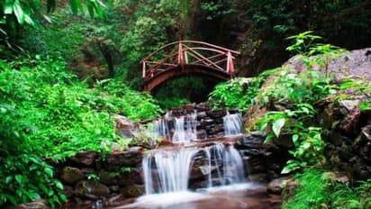 Almora to Jibhi: 5 Hidden gems near Delhi for peaceful getaway