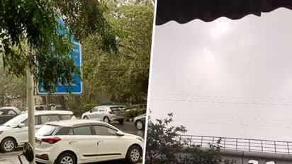 Relief for Delhi residents: Light rain after temperatures hit record high of 52.3 degrees; WATCH viral videos