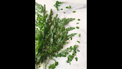 ఇది మామూలు ఆకు కాదు.. 300 రోగాలను తగ్గించే దివ్య ఔషదం.. ఇది మనకు తెలిసిందే..