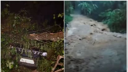 ശക്തമായ മഴ; ഇടുക്കിയില്‍ രാത്രി യാത്ര നിരോധനം; കാറിന് മുകളിലേക്ക് മണ്ണിടിച്ചില്‍, കോട്ടയത്തും കനത്ത മഴ