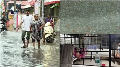 Kerala Rain: Holiday announced for educational institutions in 6 districts today due to heavy rainfall; Check