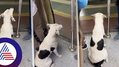 ಮುಂಬೈ ಲೋಕಲ್ ರೈಲಿನಲ್ಲಿನ ನಾಯಿಯ ಪ್ರಯಾಣ, ಶಿಸ್ತು ನೋಡಿ ಕಲೀರಿ ಎಂದ ನೆಟ್ಟಿಗರು!