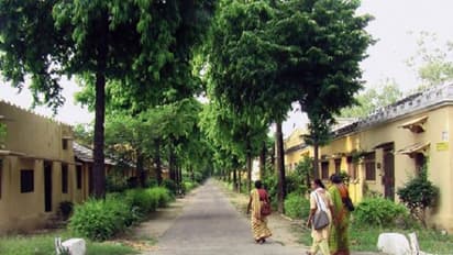 आगरा की ये कॉलोनियां हाई टेम्प्रेचर से ऐसे कर रहीं मुकाबला, IAS तक...किसी घर में AC नहीं, फॉलो करें ये टिप्स