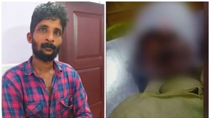 വീട്ടിലെ പൂച്ചയെ കാണാതായി; തർക്കത്തിനൊടുവിൽ മുത്തച്ഛനെ വെട്ടിപ്പരിക്കേൽപിച്ച് പേരക്കുട്ടി