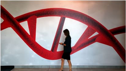 മനുഷ്യന്റേതിനേക്കാൾ 50 മടങ്ങ് വലിപ്പം, ഏറ്റവും നീളമേറിയ ജീനോം ഈ കുഞ്ഞ് ചെടിയിൽ- പുതിയ കണ്ടെത്തൽ 