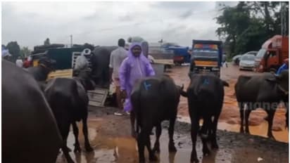 വഴിയടഞ്ഞു; ദേശീയപാത വരുന്നതോടെ ചേളാരി ചന്ത ഓർമയാകുമെന്ന ആശങ്കയിൽ കച്ചവടക്കാർ