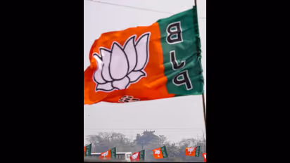 'സുരേഷ് ഗോപി ഒറ്റയ്ക്കല്ല': ലോക്സഭയിലേക്ക് എത്തുന്ന സിനിമ താരങ്ങളില്‍ കൂടുതലും ബിജെപി എംപിമാര്‍