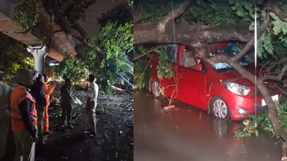 ಬೆಂಗಳೂರು ಮಳೆಗೆ ಅವಾಂತರ, ಮೆಟ್ರೋ ಹಳಿ ಮೇಲೆ ಬಿದ್ದ ಮರದಿಂದ ರೈಲು ಸೇವೆ ಸ್ಥಗಿತ!