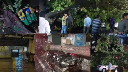 Bengaluru rainfall mayhem: Huge trees topple down on traffic, several vehicles reportedly damaged (WATCH)