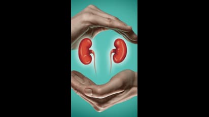 சிறுநீரகத்தை பாதுகாக்க இந்த எளிய வழிகளை பின்பற்றினால் போதும்!