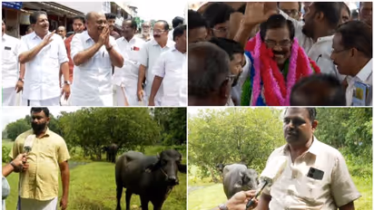 നാളെ പോത്തിറച്ചിയും പിടിയും ഫ്രീ, 'ഒരു തോൽവി ആഘോഷിക്കാൻ' പിറവത്തെ ജനകീയ സമിതി, എല്ലാം സജ്ജം