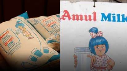 Amul Raises Milk Prices by Rs 2 per Litre; See Updated Price List Here 