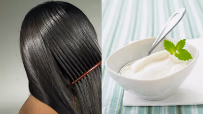 Transform dry hair with Curd: A natural remedy for soft, shiny tresses