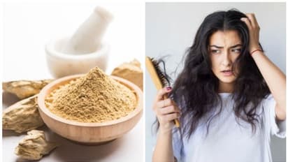 മുടികൊഴിച്ചിൽ എളുപ്പം കുറയ്ക്കാം ; മുൾട്ടാണി മിട്ടി ഈ രീതിയിൽ ഉപയോ​ഗിച്ച് നോക്കൂ  