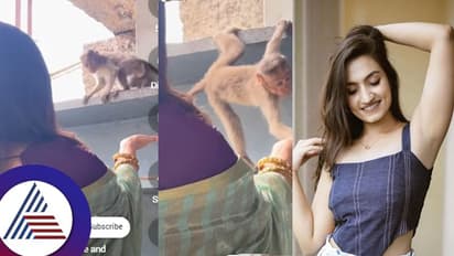 ರಾಮಾಯಣದ ಸೀತೆಯಲ್ಲ... ಸೀರಿಯಲ್ ಸೀತಾಳ ಬಳಿ ಬಂದ ಈ 'ಜಾಂಬವ' ಏನ್ ಮಾಡಿದ ನೋಡಿ...