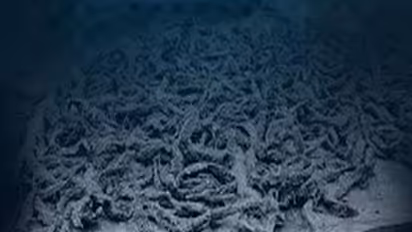 പാലക്കാട് റെയിൽവെ സ്റ്റേഷനിൽ ഒരു ചാക്ക്, തുറന്നപ്പോൾ 19.4 കിലോ കഞ്ചാവ്, പ്രതിയെ തേടി എക്സൈസ്