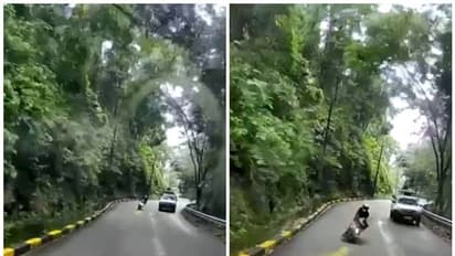 ജീപ്പിനെ ഓവർടേക്ക് ചെയ്തെത്തിയ ബൈക്ക് ബസിന് മുന്നിലേക്ക് ഇടിച്ചുകയറി; 18 വയസുകാരൻ മരിച്ചു