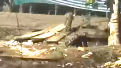 'പുന്നപ്രയില്‍ ജനവാസ മേഖലയിൽ പുലിയെ കണ്ടു'; മൊബൈൽ  ദൃശ്യങ്ങളുമായി നാട്ടുകാർ, കണ്ടത് കാട്ടുപൂച്ചയെ