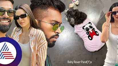 ಹಾರ್ದಿಕ್ ಪಾಂಡ್ಯಾ – ನತಾಶಾ ಪ್ಯಾಚಪ್ ಕನ್ಫರ್ಮ್, ನಾಯಿ ಮೂಲಕ ಸಿಕ್ತು ಹಿಂಟ್!