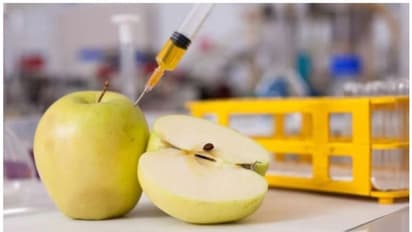 World Food Safety Day 2024 :  മായം കലർന്ന ഭക്ഷ്യവസ്തുക്കൾ എങ്ങനെ തിരിച്ചറിയാം