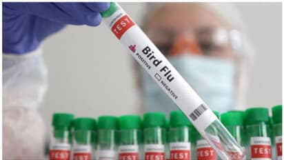 പക്ഷിപ്പനിയുടെ പുതിയ വകഭേദമായ എച്ച് 5 എന് 2 ; പ്രധാനപ്പെട്ട ലക്ഷണങ്ങൾ അറിയാം