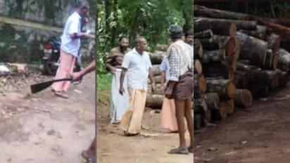 മരം മുറി അന്വേഷിക്കാനെത്തിയ ഫോറസ്റ്റ് ഉദ്യോഗസ്ഥരെ സിപിഎം പ്രവർത്തകർ ആക്രമിച്ചു, കേസെടുക്കാതെ പൊലീസ്