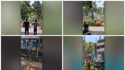 ഓടിക്കൊണ്ടിരുന്ന ലോറിയിലേക്കും വൈദ്യുതി ലൈനിലേക്കും മരം വീണു; സമീപത്ത് നിന്ന വിദ്യാർത്ഥിക്കും പരിക്ക്