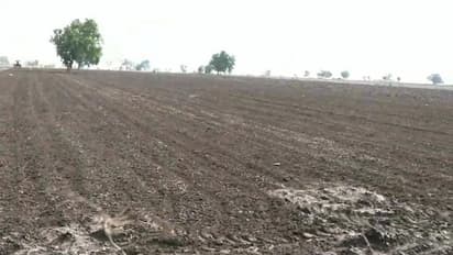 ಚಿತ್ರದುರ್ಗದಲ್ಲಿ ಉತ್ತಮ ಮಳೆ: ಬಿತ್ತನೆ ಬೀಜಕ್ಕೂ ಕಾಸಿಲ್ಲದಂತಾದ ರೈತನ ಬದುಕು..!