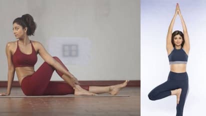 छट जाएगा कमर का मोटापा, हो जाएगी छरहरी काया, शिल्पा शेट्टी से सीखें सूर्य नमस्कार का सही तरीका