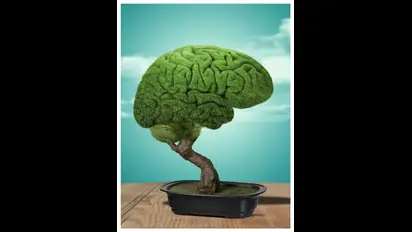 दिमाग तेज करेगा ये नट्स, रोजाना 5 खाने से मिलेगा जबरदस्त फायदा