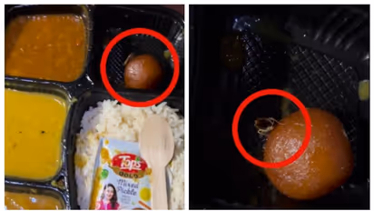 'ഇതാണ് പ്രോട്ടീന്‍ ഫുഡ്'; ഇന്ത്യന്‍ റെയില്‍വേയുടെ വെജ് താലിയിലെ രസഗുളയില്‍ ജീവനുള്ള പാറ്റ; വീഡിയോ വൈറല്‍ 