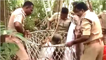 മരം മുറിക്കുന്നതിനിടെ 35 അടിയോളം ഉയരത്തിൽ കുടുങ്ങി, മുഹമ്മദിന് രക്ഷയായി ഫയർഫോഴ്സ്