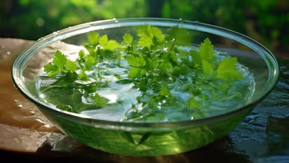 Health Tips: പതിവായി മല്ലിയിലയിട്ട വെള്ളം കുടിക്കൂ, ചില ആരോഗ്യ പ്രശ്നങ്ങളെ അകറ്റാം 