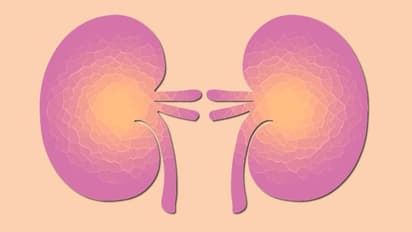 വൃക്കകളെ സംരക്ഷിക്കാന്‍ ഈ എട്ട് കാര്യങ്ങൾ ചെയ്തുനോക്കൂ