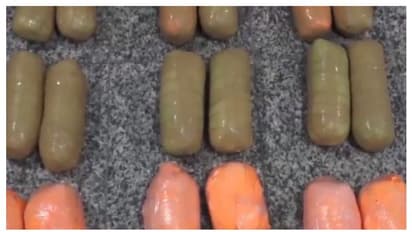 ഓപ്പറേഷന് സക്സസ്! വില കോടികള്; കടല് വഴി കടത്താന് ശ്രമം, പിടികൂടിയത് 50 കിലോ കഞ്ചാവ്, നാലുപേർ അറസ്റ്റിൽ