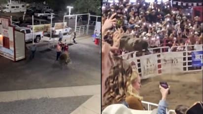 ഗാലറിയിലെ കാണികൾക്കിടയിലേക്ക് ചാടിക്കയറി പോരുകാള 'പാർട്ടിബസ്', മൂന്ന് പേർക്ക് പരിക്ക്, വീഡിയോ