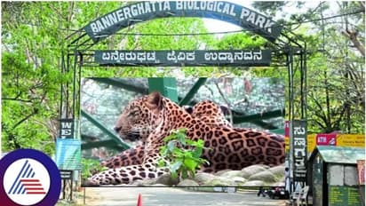 ಬನ್ನೇರುಘಟ್ಟದಲ್ಲಿ ಚಿರತೆ ಸಫಾರಿಗೆ, ಮೈಸೂರಲ್ಲಿ ಮತ್ಸ್ಯಾಗಾರ ನಿರ್ಮಾಣಕ್ಕೆ ಸಚಿವ ಈಶ್ವರ ಖಂಡ್ರೆ ಒಪ್ಪಿಗೆ