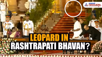 Leopard at Modi 3.0 cabinet oath-taking ceremony? Mysterious animal spotted in viral video (WATCH)