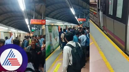 ಮಾನಸಿಕ ಖಿನ್ನತೆಯಿಂದ ಹಳಿಗೆ ಜಿಗಿದು ಆತ್ಮಹತ್ಯೆ ಯತ್ನಿಸಿದ ವ್ಯಕ್ತಿ; ಕೆಲ ಕಾಲ ಮೆಟ್ರೋ ಸಂಚಾರ ಸ್ಥಗಿತ!